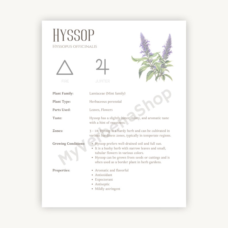 Hyssop Herbal Printable - Detailed Plant Guide &amp; Uses - Spiritual ...