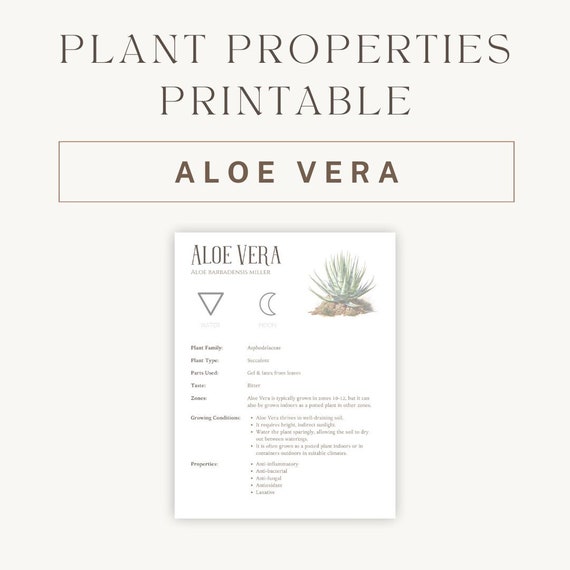 Aloe Vera Herbal Printable - Detailed Plant Guide & Uses - Spiritual  Healing Properties Chart - Botanical Reference PDF - Instant Download -  Etsy UK