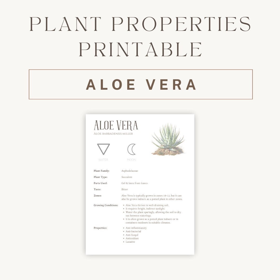 detox aloe vera gel 13 Tage FIT-Programm - DX4™ & C9