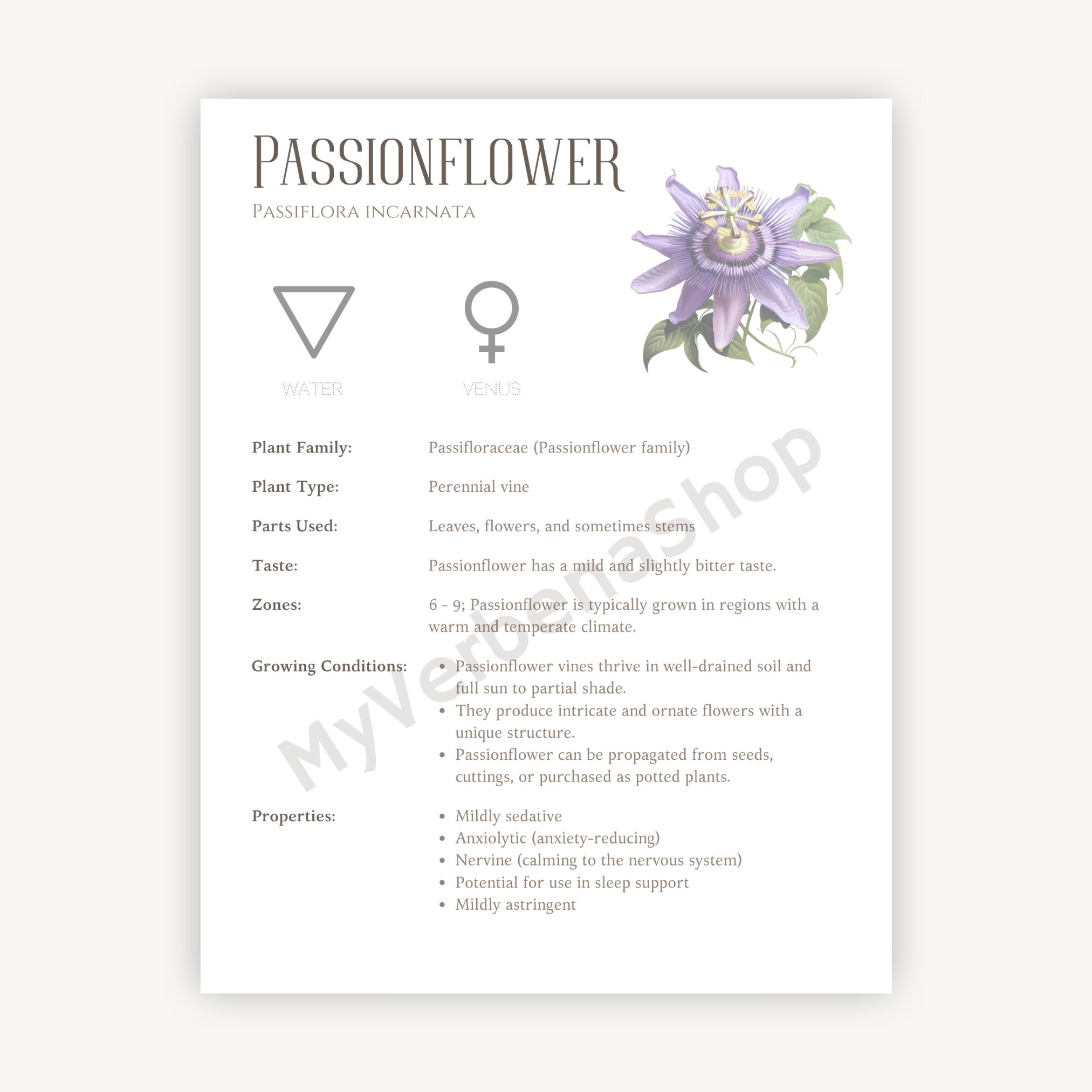 Passionflower Herbal Printable Detailed Plant Guide & Uses Spiritual