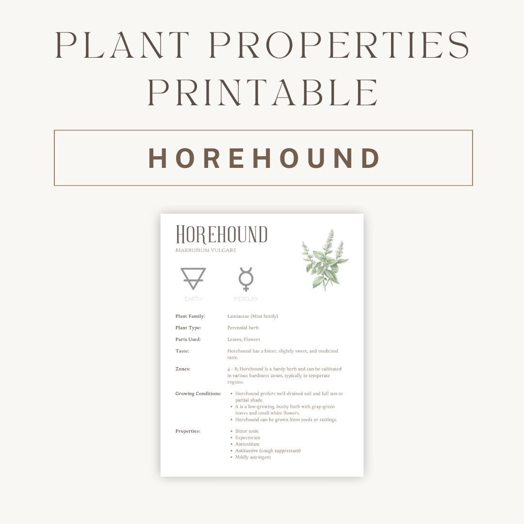 Horehound Herbal Printable Detailed Plant Guide & Uses Spiritual