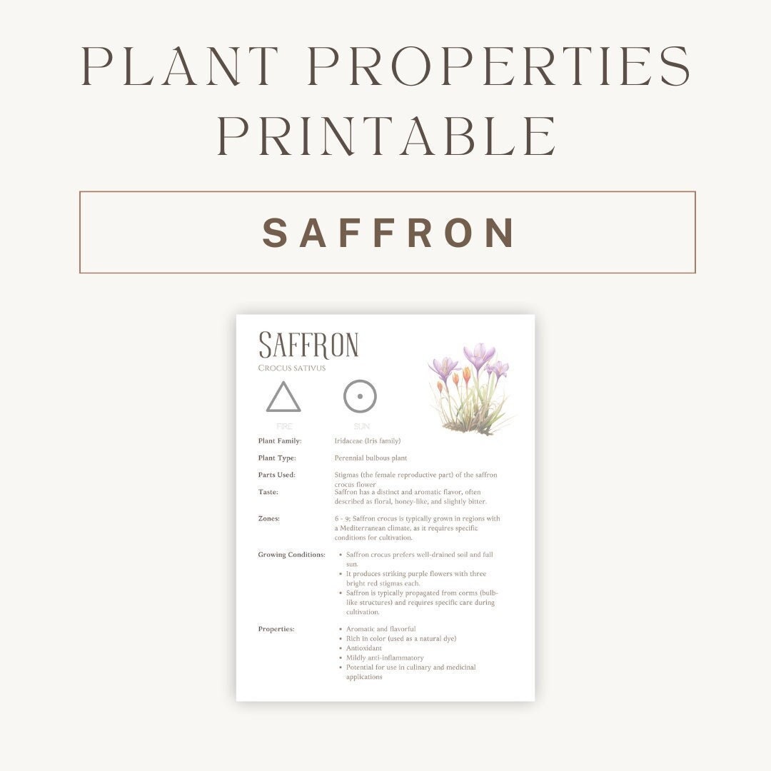 Saffron Herbal Printable Detailed Plant Guide & Uses Spiritual Healing