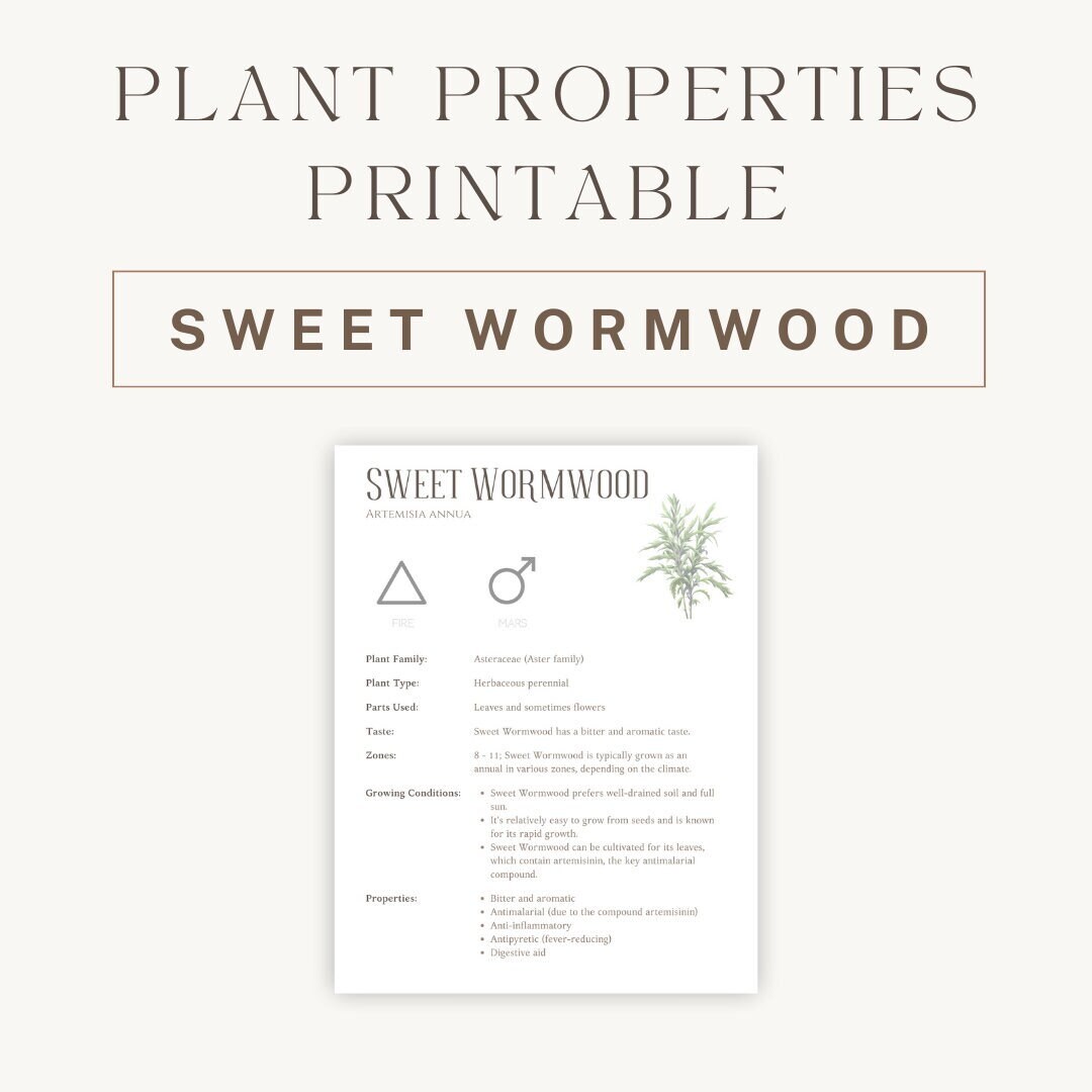 Sweet Wormwood Herbal Printable Detailed Plant Guide &amp; Uses Spiritual ...
