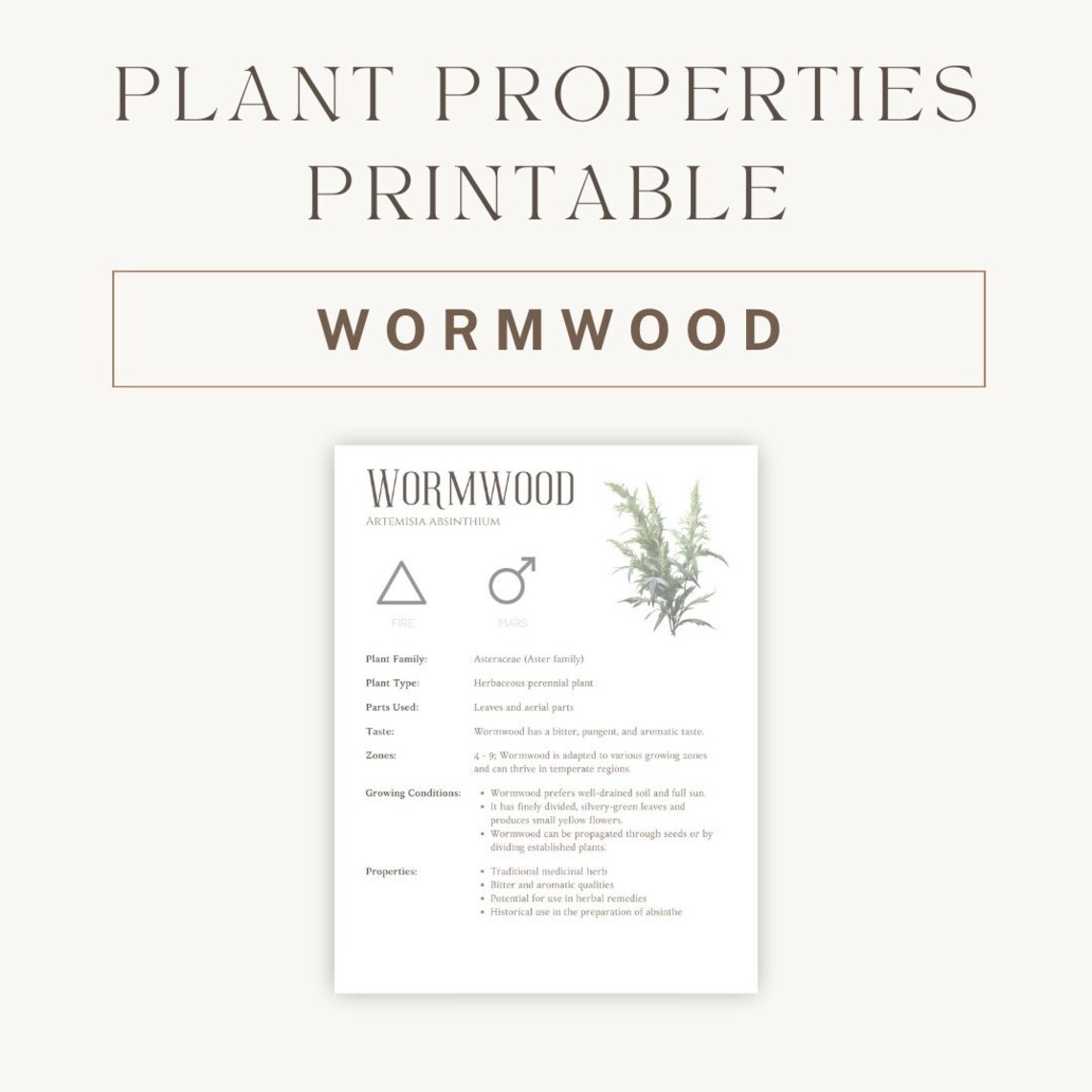Wormwood Herbal Printable - Detailed Plant Guide &amp; Uses - Spiritual ...