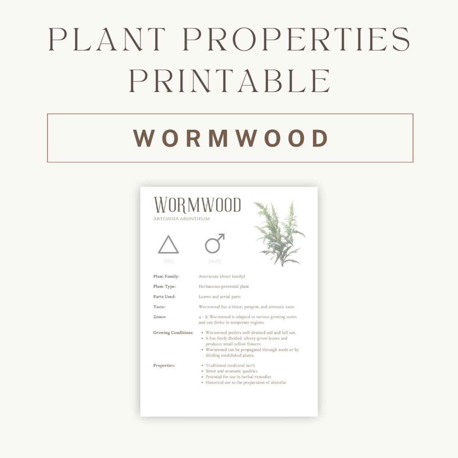 Wormwood Herbal Printable - Detailed Plant Guide &amp; Uses - Spiritual ...