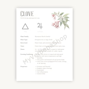 Clove Herbal Printable - Detailed Plant Guide &amp; Uses - Spiritual ...