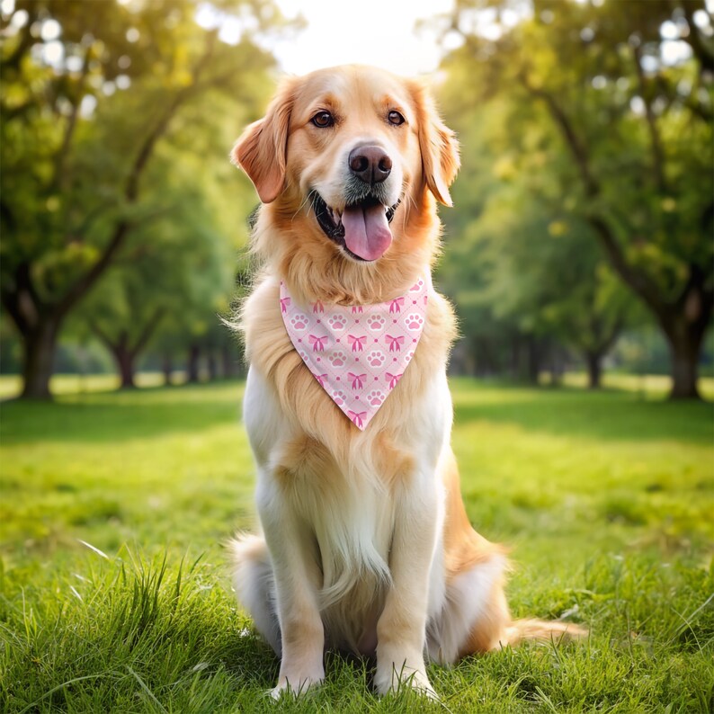Może przedstawiać: Złoty retriever w r&oacute;żowym bandanie z odciskami łap i kokardkami. Bandana jest zawiązana wok&oacute;ł szyi psa.