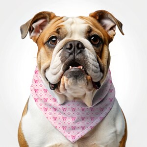 Może przedstawiać: Buldog w r&oacute;żowym bandanie z wzorem łap i kokardek. Bandana jest zawiązana wok&oacute;ł szyi psa.