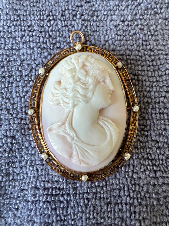 Edwardian Era Antique Cameo Brooch Gold Pin Set wi