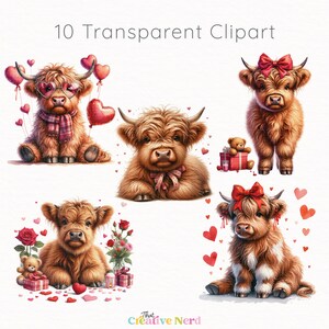 Valentine's Day Highland Cow Clip Art | Baby Cow PNG | Watercolor Love Themed Cow Collection | Clipart Pack | Commercial Use | Farm Animals image 4