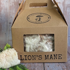 Organic Lion&#39;s Mane Mushroom Grow Kit - 10lbs.