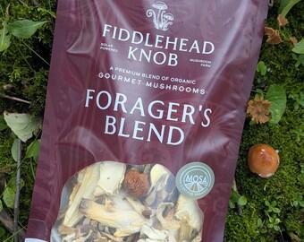 Ekologiska torkade svampar, 45 g - Forager's Blend