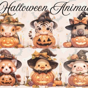 Paquete de 18 imágenes prediseñadas de animales de Halloween, acuarela de un animalito disfrazado de bruja, JPG de Halloween imprimible, arte de sublimación, uso comercial