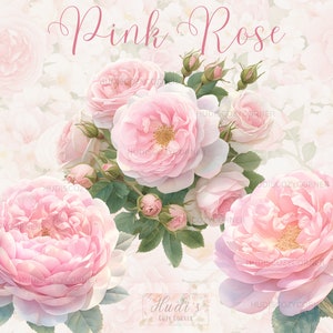 20 weiche Pastell rosa Rose Clipart, Aquarell rosa Rose Blumen JPG Bundle, digitaler Download für Papier Handwerk, Junk Journal und Kartenherstellung