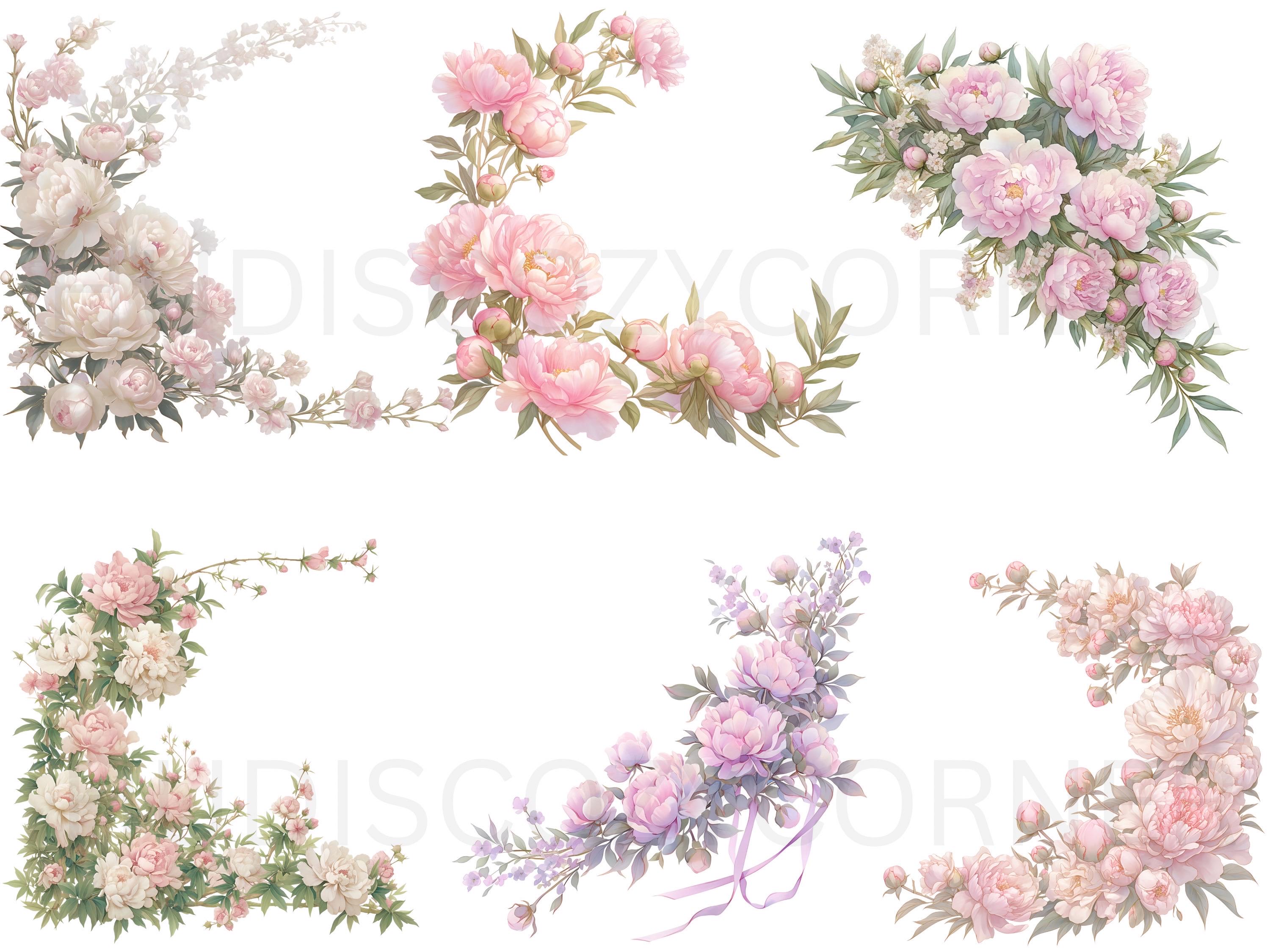 37 Soft White and Pink Peony Floral Border Clipart, Watercolor Peonies ...