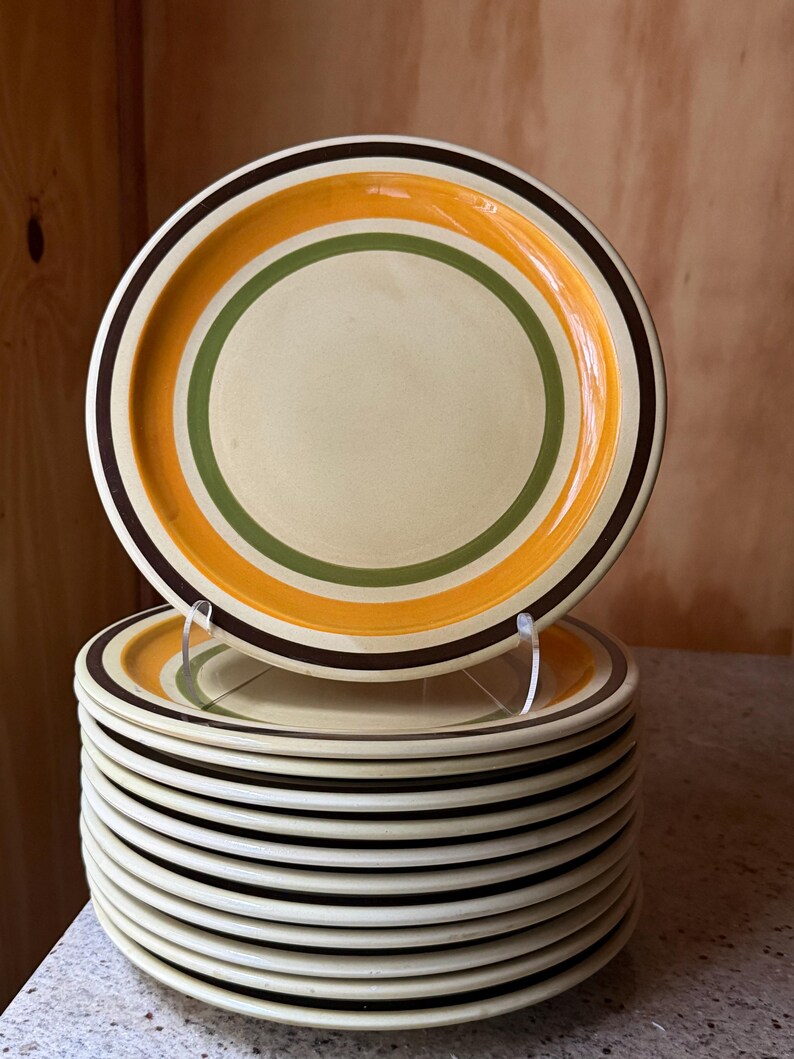 Ceramica Castellania Vintage Italian Stoneware Talerze – 20-elementowy zestaw obiadowy w odcieniach ziemi zdjęcie 10