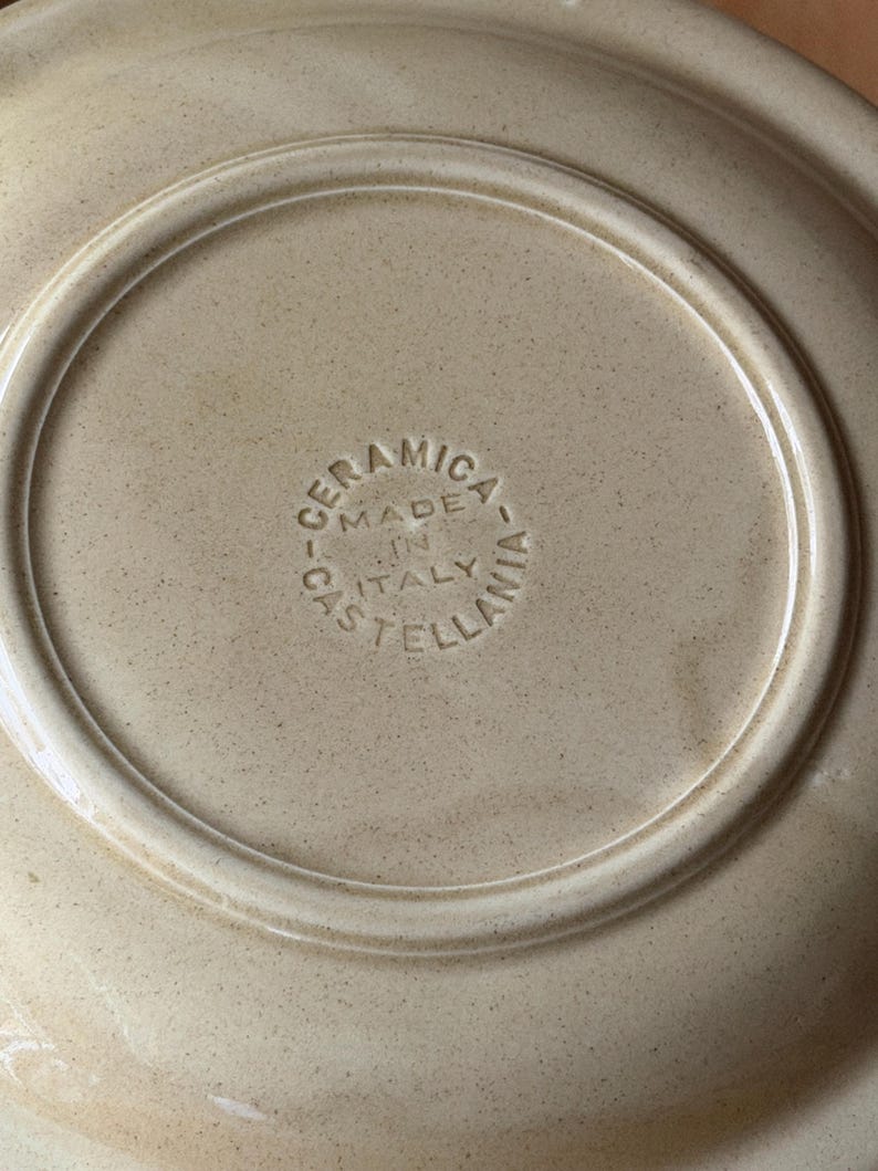 Ceramica Castellania Vintage Italian Stoneware Talerze – 20-elementowy zestaw obiadowy w odcieniach ziemi zdjęcie 16
