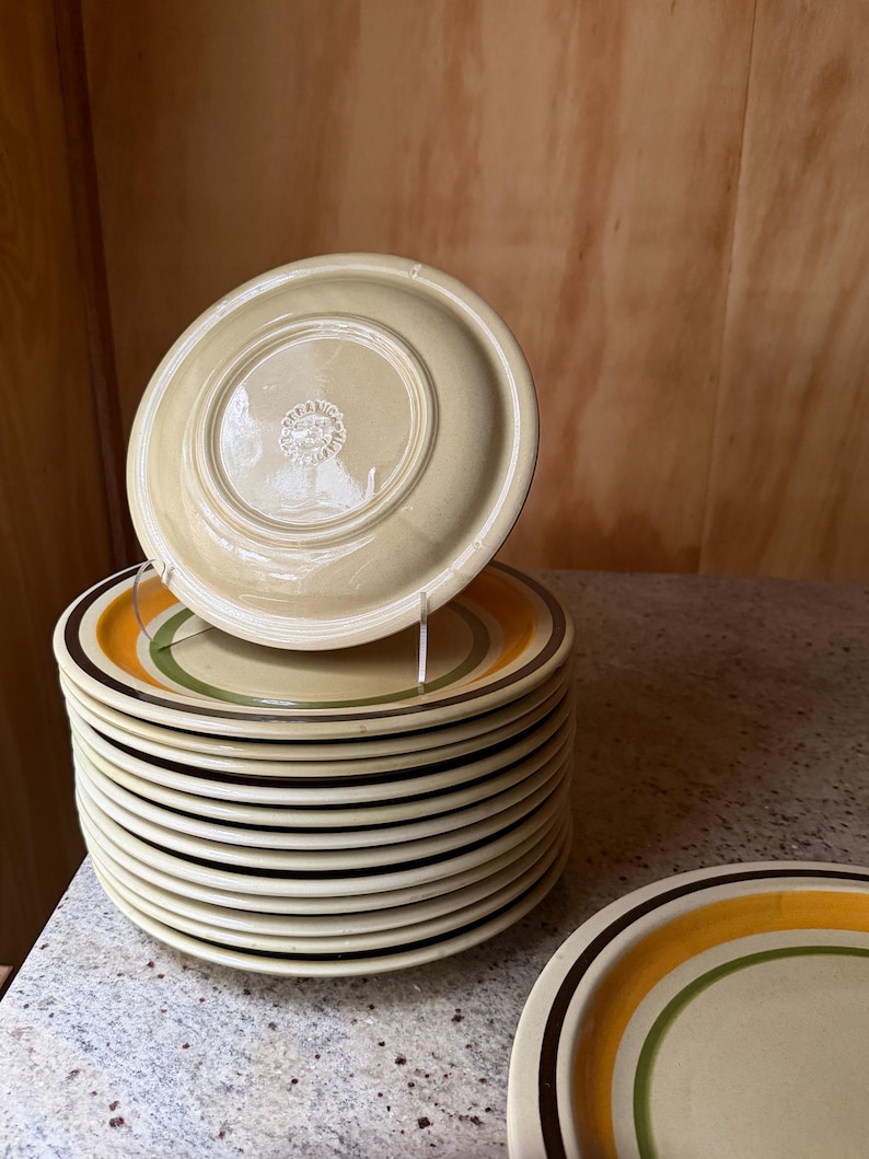 Ceramica Castellania Vintage Italian Stoneware Talerze – 20-elementowy zestaw obiadowy w odcieniach ziemi zdjęcie 9