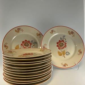 Vintage Richard Ginori – Set of 12 + 2 Plates – Italy 1950s