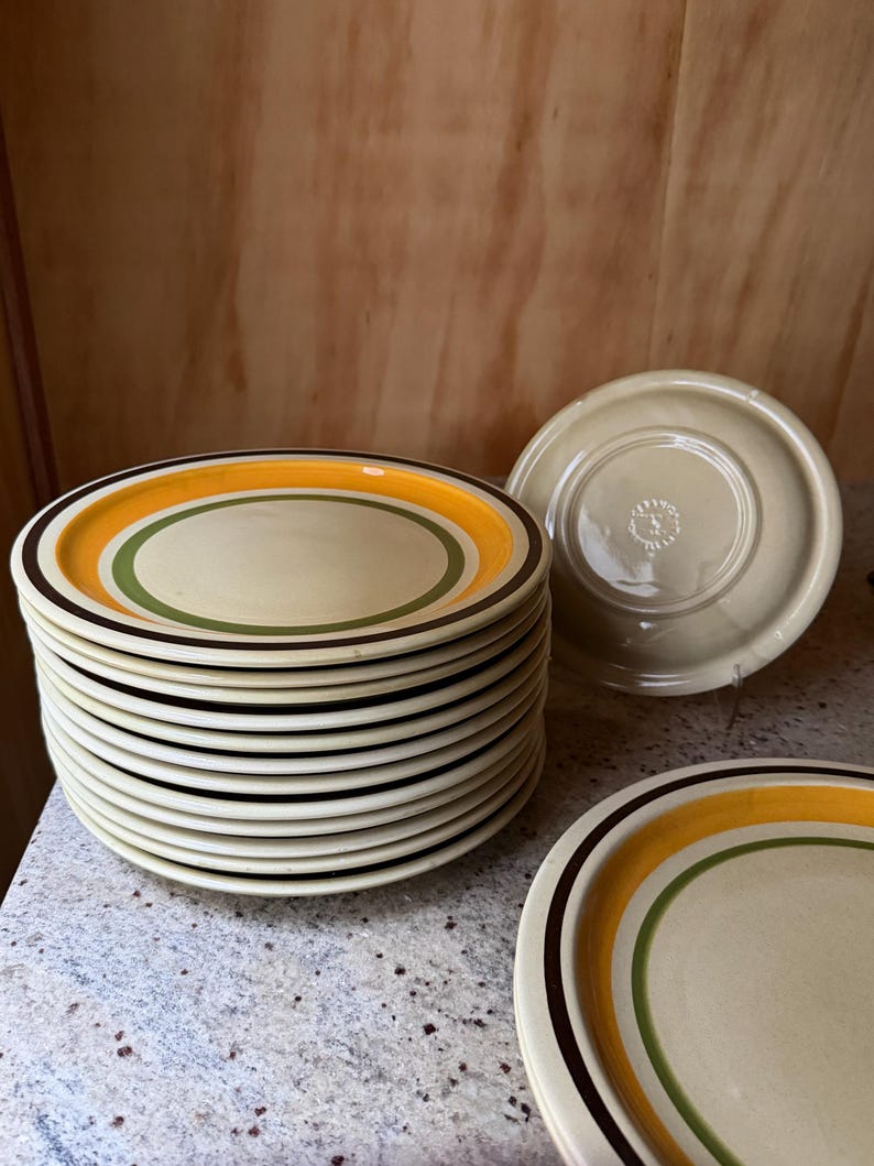 Ceramica Castellania Vintage Italian Stoneware Talerze – 20-elementowy zestaw obiadowy w odcieniach ziemi zdjęcie 8