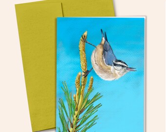 May include: A watercolor painting of a blue and brown bird perched on a pine branch with yellow buds against a blue sky. The artist's signature "Vanita" is in the bottom right corner.