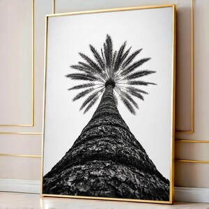 May include: A black and white vertical wall art print featuring a low-angle perspective of a single palm tree. The textured, dark trunk dominates the foreground, tapering upward toward the expansive, detailed fronds against a bright sky.