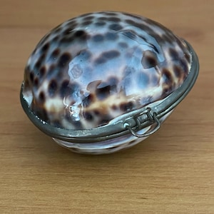 May include: A small, oval-shaped trinket box made from a natural seashell. The shell features a speckled pattern in shades of brown, tan, and white. It has a silver-colored metal hinge and clasp. The box is closed, suggesting it is designed to hold small items.