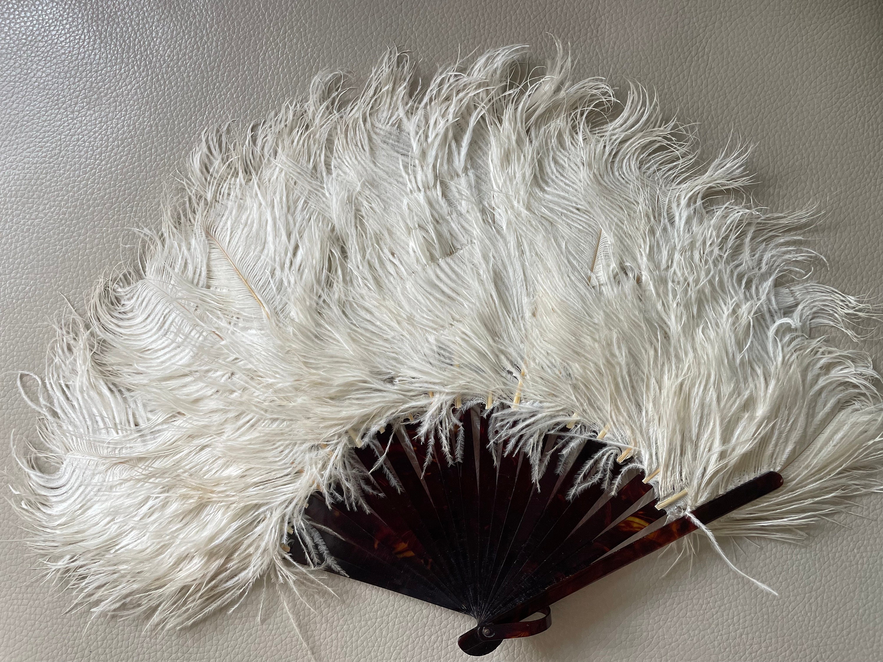 Antique 1920s Ostrich Feather Hand Fan, Tortoise Shell Ribs, 15 Span ...