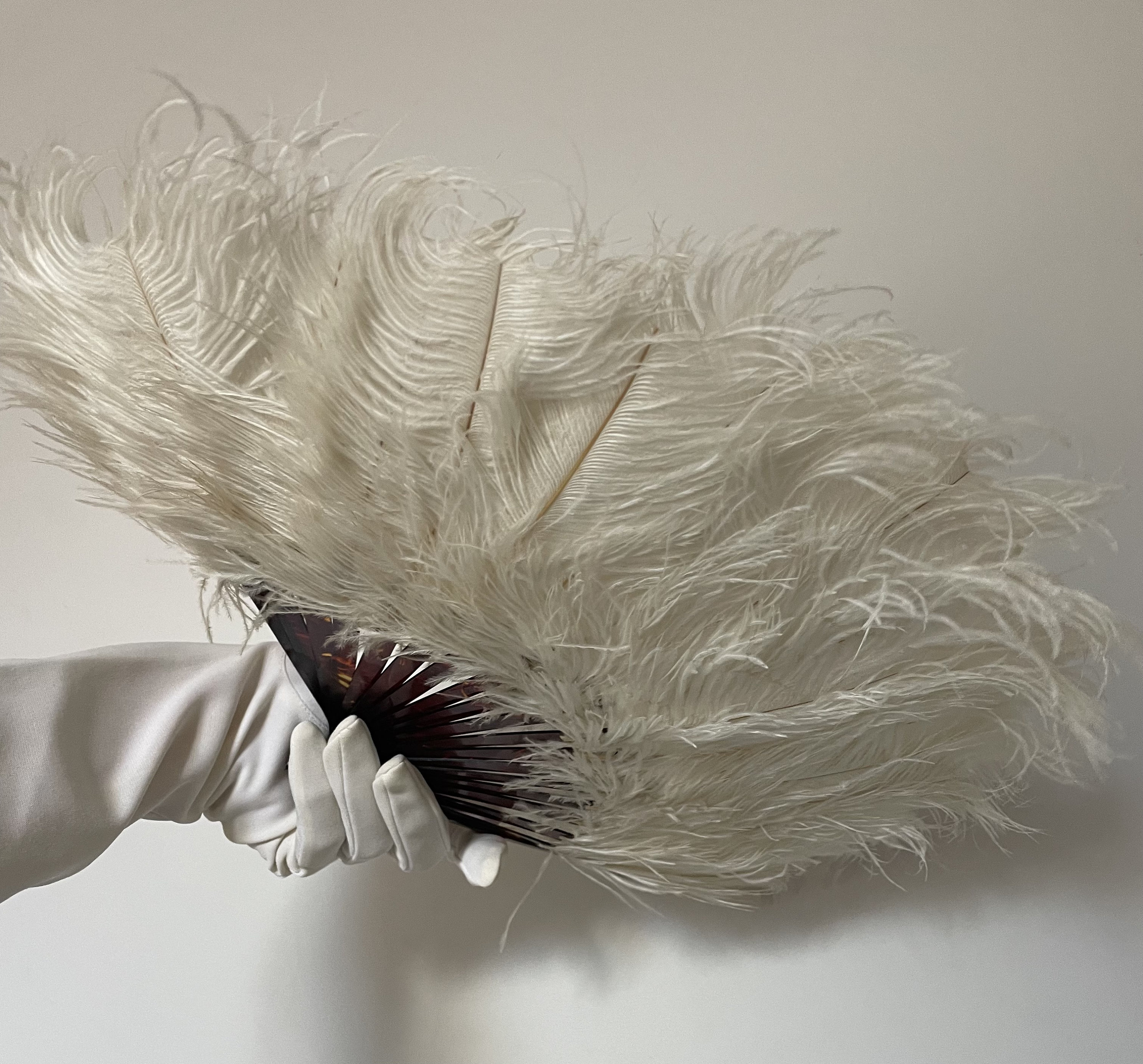 Antique 1920s Ostrich Feather Hand Fan, Tortoise Shell Ribs, 15 Span ...