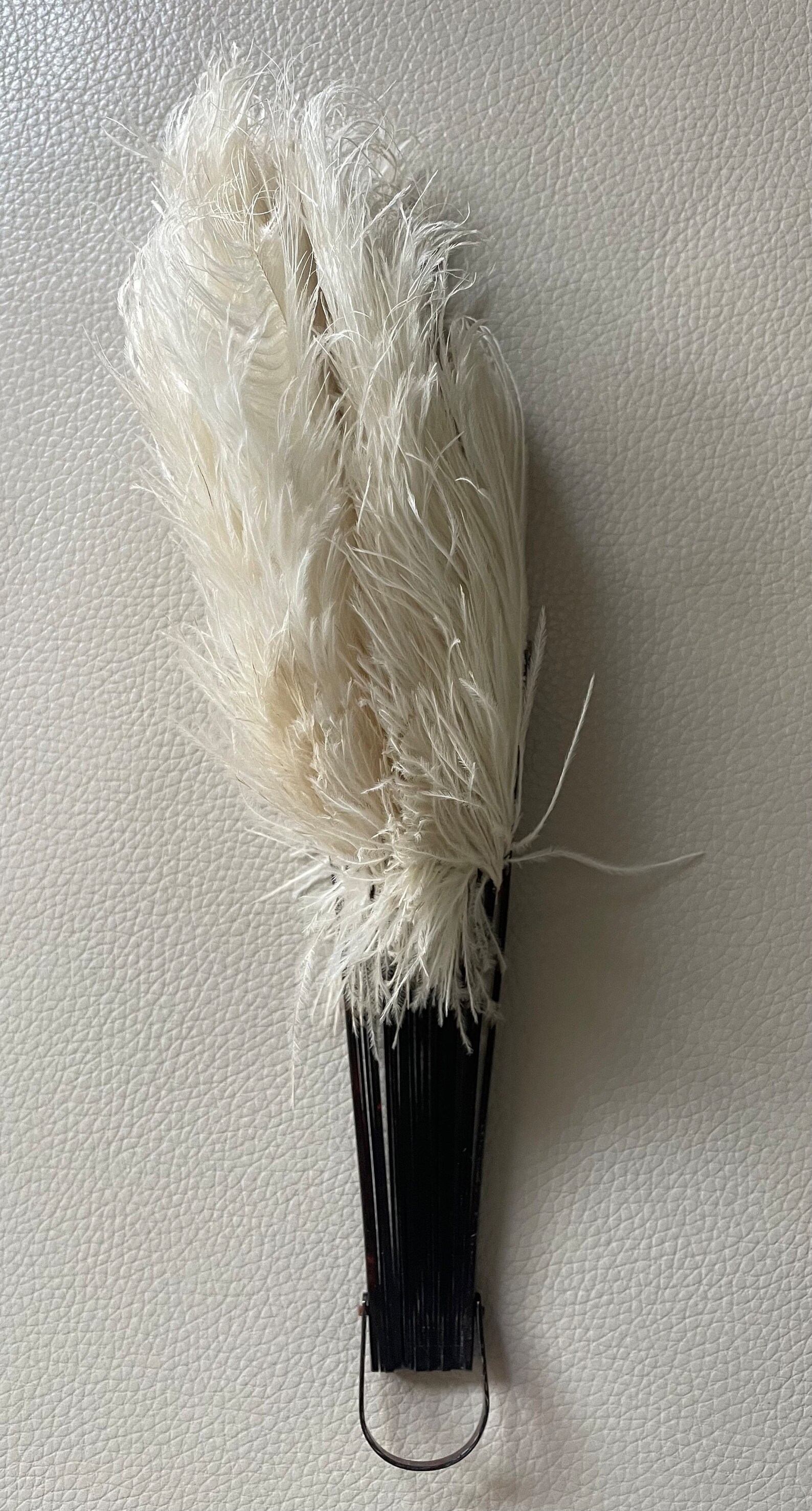 Antique 1920s Ostrich Feather Hand Fan, Tortoise Shell Ribs, 15 Span ...