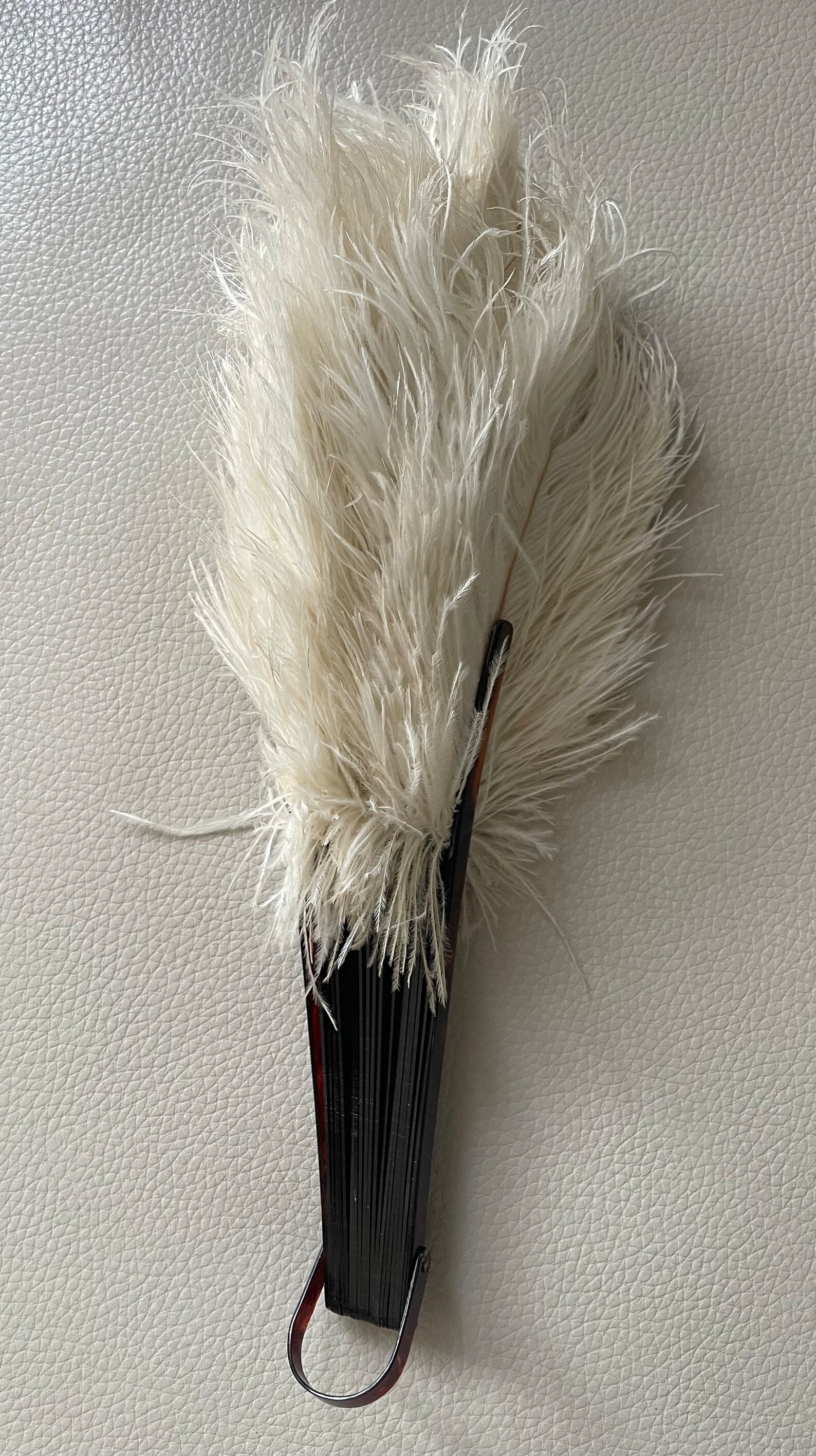 Antique 1920s Ostrich Feather Hand Fan, Tortoise Shell Ribs, 15 Span ...
