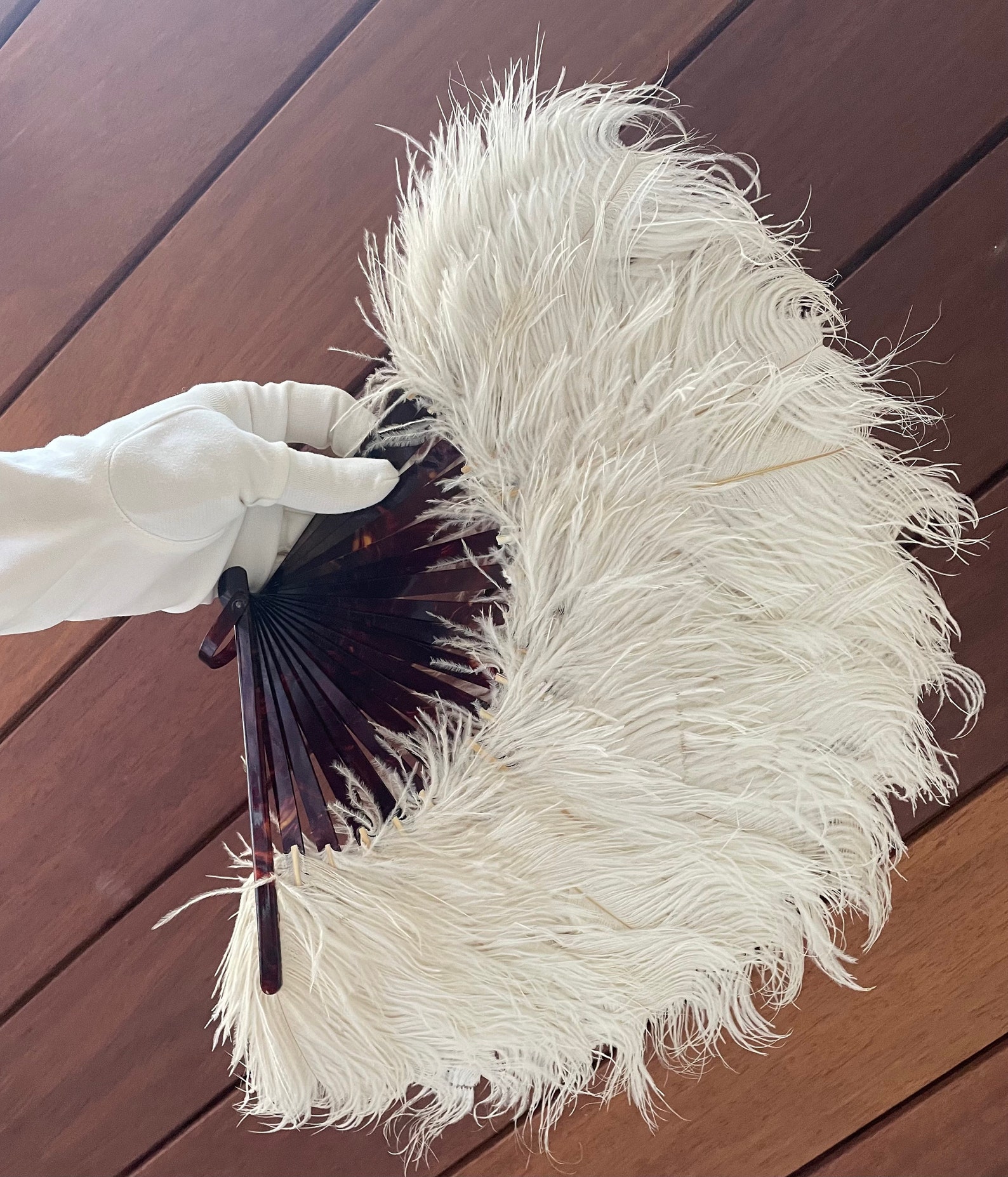 Antique 1920s Ostrich Feather Hand Fan, Tortoise Shell Ribs, 15 Span ...
