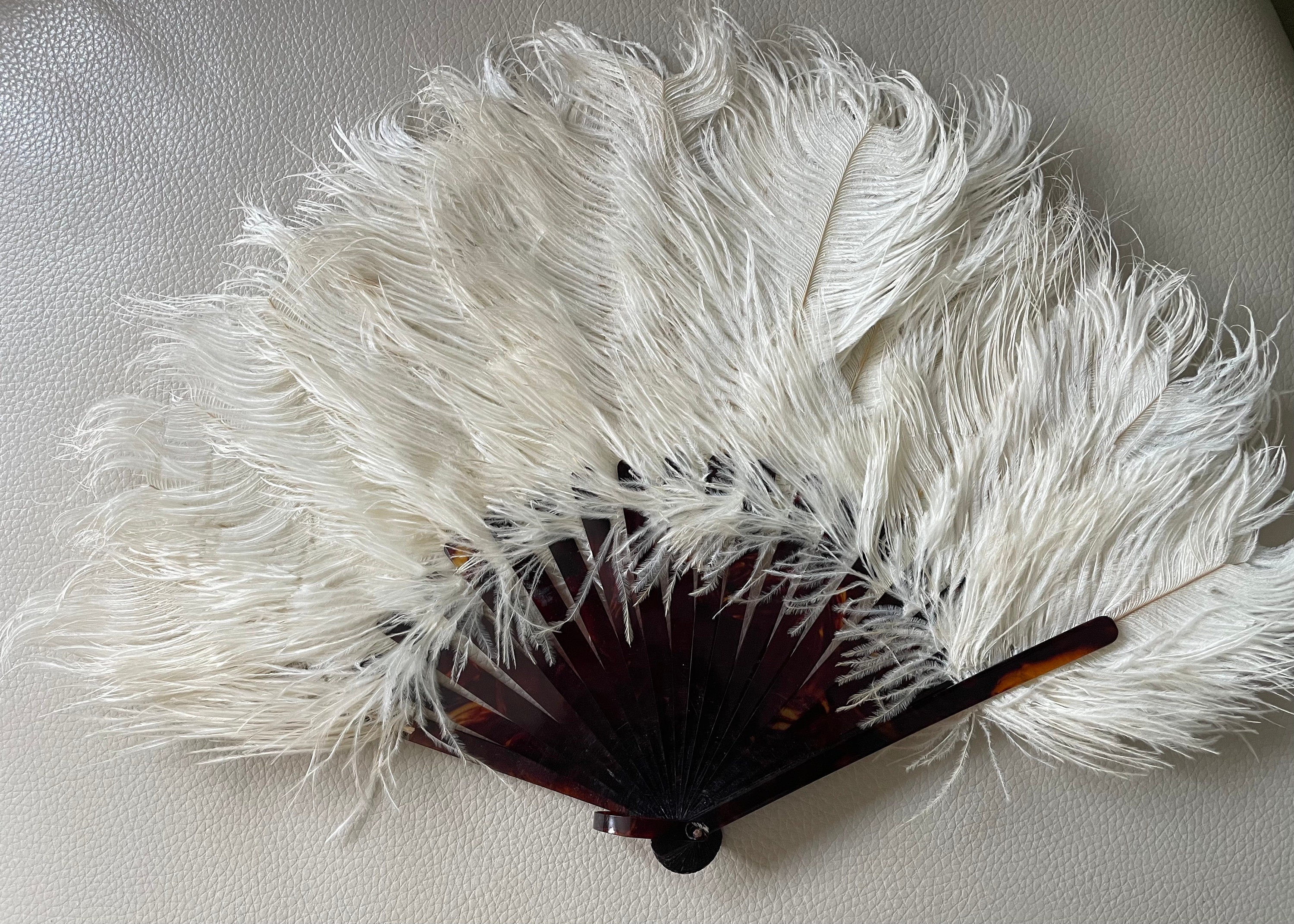 Antique 1920s Ostrich Feather Hand Fan, Tortoise Shell Ribs, 15 Span ...