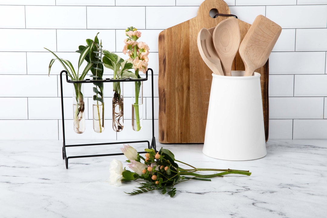 Propagation Stations Plant Propagation Station for Plants Iron & Glass