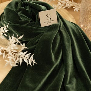 green emerald velvet dress Wedtrend Women Dark Green Prom Dress Stylish Mermaid Spaghetti Strap Long Evening Dress with Appliques, Dark Green / US16W