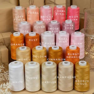 Può includere: Una collezione di 18 bobine di filo in varie tonalità di rosa, arancione, giallo e bianco. Le bobine sono disposte in tre file di sei. Le bobine sono etichettate con i nomi dei colori, come "Pesca morbida", "Corallo", "Rosa brillante", "Rosa malva", "Ruggine", "Arancione", "Miele", "Dorato", "Cannella", "Arancione bruciato", "Avorio", "Bianco", "Vaniglia", "Champagne" e "Oro bronzo".
