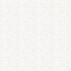 May include: A white textured background with a subtle grainy pattern.