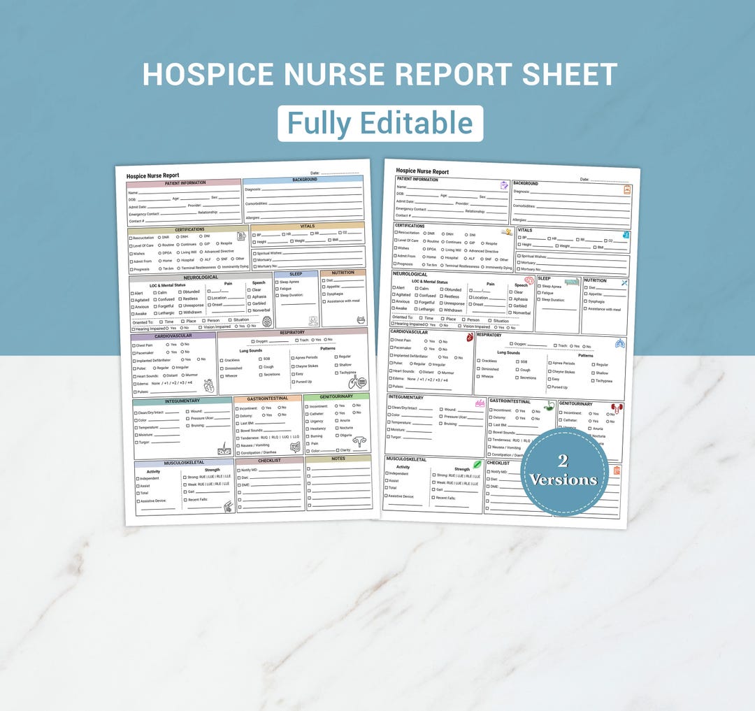 Editable Hospice Nurse Report Sheet | Nursing Visit Template (PDF ...