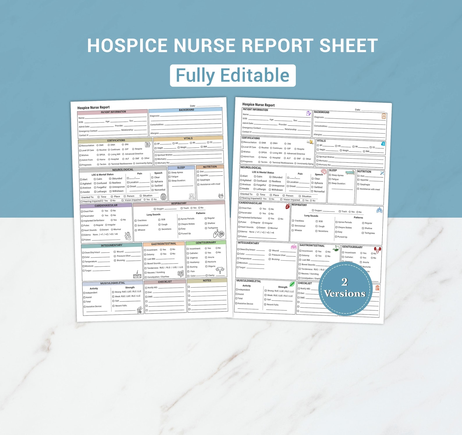Editable Hospice Nurse Report Sheet | Nursing Visit Template (PDF ...