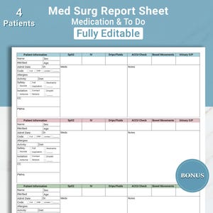 Bewerkbaar verpleegkundige Brain 4 patienten Rapport verpleegkundigen Medisch chirurgisch rapport verpleegkundige rapport Er verpleegkundige dienst rapport overdracht rapport IC-canva en pdf