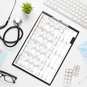 Editable Hospice Nurse Visit Sheet | Nurse Report Sheet Hospice Visit ...