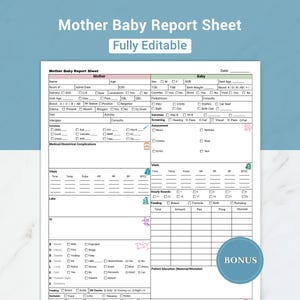 編集可能な母子看護報告書シート（Medsurg）｜産後看護報告書シート（看護師のシフト引き継ぎ）｜分娩看護師の脳内シート