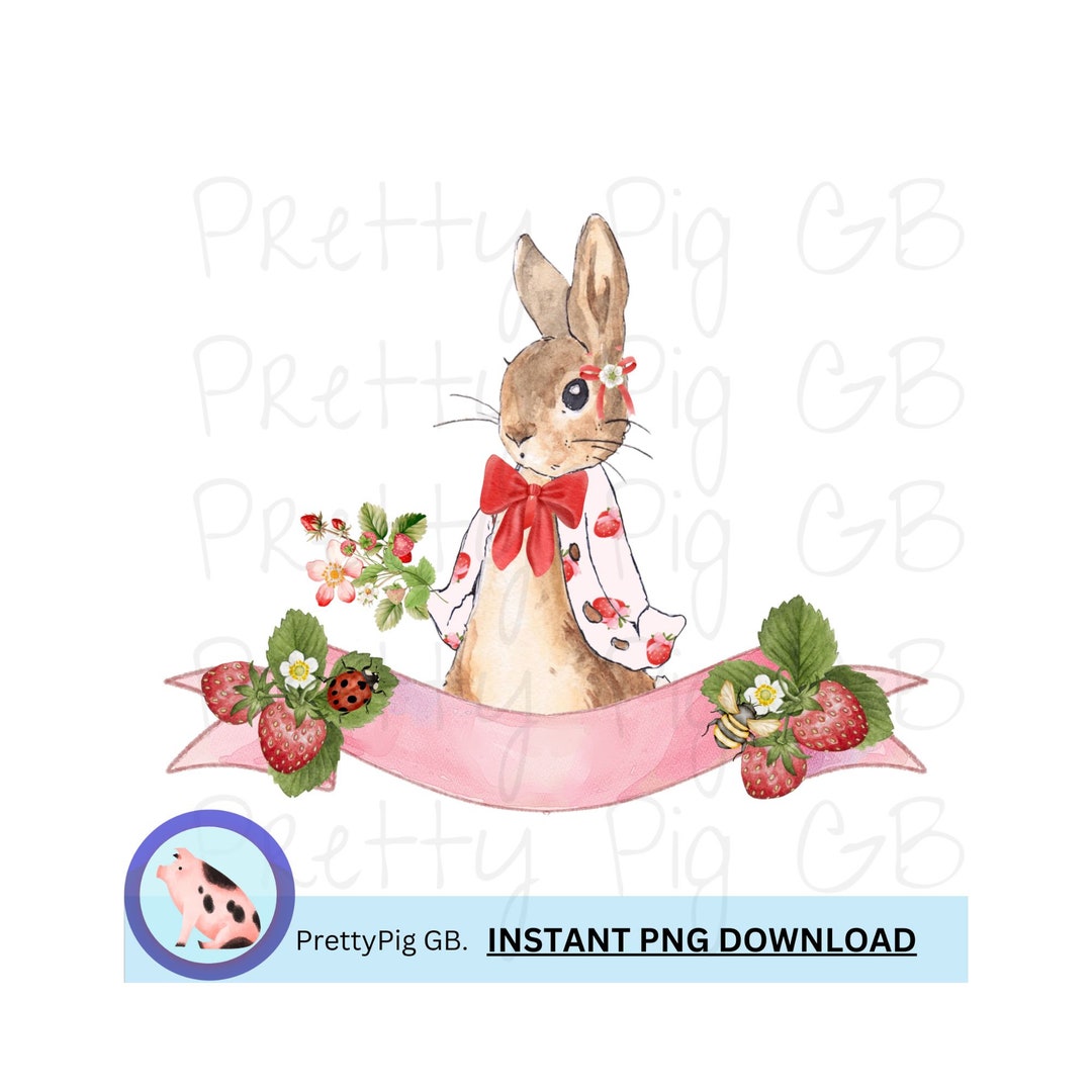 Flopsy Bunny, Peter Rabbit, PNG, Digital Download, Clip Art - Etsy