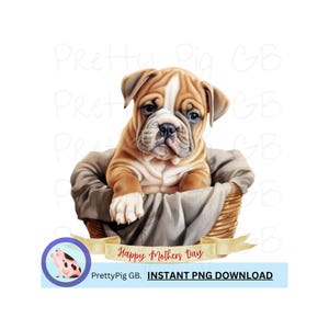 Moederdag cadeaumand bulldog puppy, png, illustraties, digitale download, 300 dpi