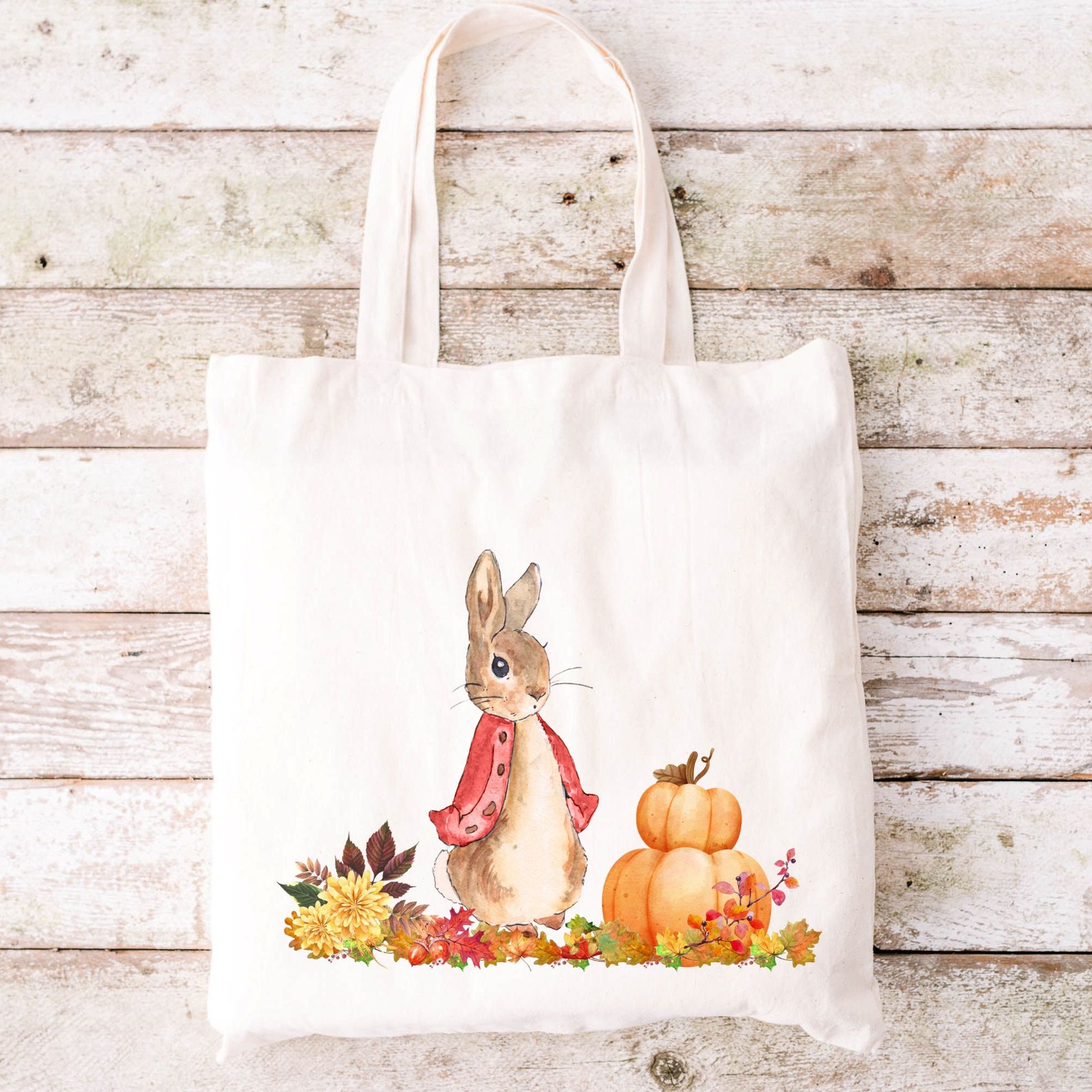 Peter Rabbit ,fall, Autumn, PNG, Clip Art, Digital Download. 300DPI - Etsy