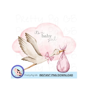 Livraison spéciale cigognes de petite fille, PNG, Clip Art, téléchargement numérique, 300 DPI