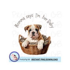 Engelse Bulldog-puppy, PNG, digitale download, illustraties, 300 DPI