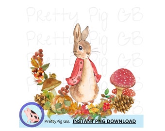 Autumn Peter Rabbit, PNG, Clip Art, Digital Download, 300 DPI, Commercial Use