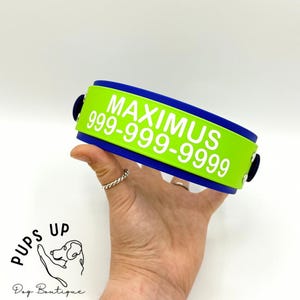 Puede incluir: Un collar para perros azul y verde lima con el nombre "MAXIMUS" y un n&uacute;mero de tel&eacute;fono en texto blanco. El collar se sostiene en una mano. El logotipo "PUPS UP Dog Boutique" est&aacute; en la esquina inferior izquierda.