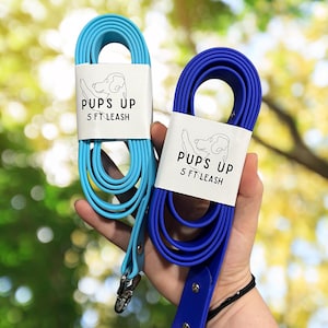 May include: Two 5 ft dog leashes, one blue and one turquoise, coiled and ready to use. The leashes have a white label with the text "Pups Up 5 ft Leash".